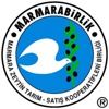 Marmarabirlik devler ligi yolcusu Marmarabirlik devler ligi yolcusu