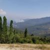 Burdur'da orman yangını 4 saatte kısmen kontrol altına alındı Burdur'da orman yangını 4 saatte kısmen kontrol altına alındı