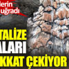 Definecilerin talanına uğradı. Kristalize kayaları İle dikkat çekiyor Definecilerin talanına uğradı. Kristalize kayaları İle dikkat çekiyor