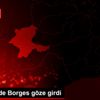 Göztepe de Borges göze girdi Göztepe de Borges göze girdi