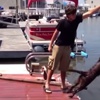 Dünyanın en beceriksiz köpekleri Dünyanın en beceriksiz köpekleri