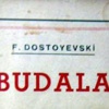 Budala romanının hikayesi