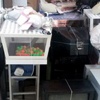 Polis kumara ''Bingo'' dedi Polis kumara ''Bingo'' dedi
