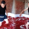 Türkiye bu iğrenç salçacıyı konuşuyor! Sakın bu salçayı yemeyin, 8 ton imha edilecek