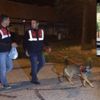 Katar'dan Türkiye'ye gelen 9 yaşındaki çocuk Uludağ'da kayboldu Katar'dan Türkiye'ye gelen 9 yaşındaki çocuk Uludağ'da kayboldu