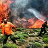 Yunanistan'da orman yangınları yerleşim yerlerini tehdit ediyor