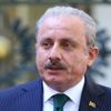 TBMM Başkanı Şentop'tan BAE'ye sert tepki TBMM Başkanı Şentop'tan BAE'ye sert tepki