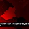 Bozkırdaki rayları saran sıralı çamlar beyaz örtüyle ...