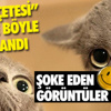 Ak Parti, Dördüncü Kez Birinci Oldu Ak Parti, Dördüncü Kez Birinci Oldu