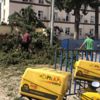 Kesilen ağaç postacının üzerine düştü Kesilen ağaç postacının üzerine düştü