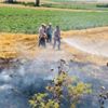 Hayrabolu'da 25 dönümlük ekili alan kül oldu Hayrabolu'da 25 dönümlük ekili alan kül oldu