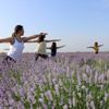Yer Edirne: Lavanta tarlasında yoga sonra mesai