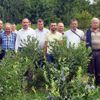 Dağ ilçelerinde yaban mersini yetiştiriciliğine rağbet Dağ ilçelerinde yaban mersini yetiştiriciliğine rağbet