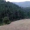 Leylekler ölmesin diye elektrikleri kestiler Leylekler ölmesin diye elektrikleri kestiler