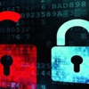 Freedom House: Türkiye'de internet özgür değil Freedom House: Türkiye'de internet özgür değil