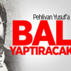 Pehlivan Yusuf'a Bale yaptıracaklar