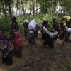 Almanya'dan Myanmar hükûmetine çağrı