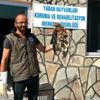 Van da yaralı kuşlar tedavi altına alındı