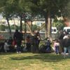 Didim'de 43 düzensiz göçmen yakalandı Didim'de 43 düzensiz göçmen yakalandı