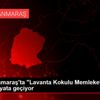 Kahramanmaraş ta "Lavanta Kokulu Memleketim" projesi ... Kahramanmaraş ta "Lavanta Kokulu Memleketim" projesi ...