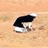 Aç kalan Arapların avlanma anı Aç kalan Arapların avlanma anı