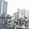 Vatandaşlar Kovid-19 nedeniyle evde kalınca meydanlar kuşlara kaldı Vatandaşlar Kovid-19 nedeniyle evde kalınca meydanlar kuşlara kaldı
