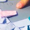 Çocuğu bonzai ticaretine alet ettiler Çocuğu bonzai ticaretine alet ettiler