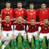 Macaristan - F Grubu - Euro 2016