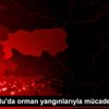 Son Dakika: Safranbolu da orman yangınlarıyla mücadele ... Son Dakika: Safranbolu da orman yangınlarıyla mücadele ...