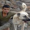 Hatay’a şehit ateşi düştü Hatay’a şehit ateşi düştü