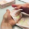 750 TL burs verilecek! Stajyer Araştırmacı Burs Programı başvurusu nasıl yapılır? 6 ay boyunca... 750 TL burs verilecek! Stajyer Araştırmacı Burs Programı başvurusu nasıl yapılır? 6 ay boyunca...