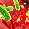 Sessiz katil sepsis