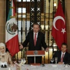 İşte Erdoğan'ın istediği başkanlık sistemi İşte Erdoğan'ın istediği başkanlık sistemi