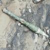 Şırnak'ta terör operasyonu Şırnak'ta terör operasyonu
