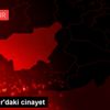Diyarbakır daki cinayet