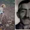 Köpeğini 'fazla ekmek yiyor' diye öldürdü, bin 33 lira ceza kesildi Köpeğini 'fazla ekmek yiyor' diye öldürdü, bin 33 lira ceza kesildi