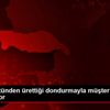 Manda sütünden ürettiği dondurmayla müşterilerine ... Manda sütünden ürettiği dondurmayla müşterilerine ...