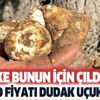 İki ülke bunun için deliriyor! Kilo fiyatı ağızları açık bırakacak cinsten! Kerameti ise...