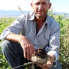 Hastalık Şeker Pancarını Vurdu Hastalık Şeker Pancarını Vurdu