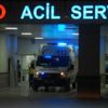 Arıların saldırısına uğrayan kadın öldü Arıların saldırısına uğrayan kadın öldü
