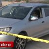 Ampul biçimindeki domates görenleri şaşırtıyor