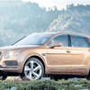 2016’da model rüzgarı