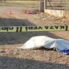 Adana'da trafik kazası: 2 ölü