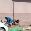 Karacabey, can dostları unutmuyor