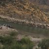 Ilısu Barajı'nda boğulan şahsın cesedine ulaşıldı Ilısu Barajı'nda boğulan şahsın cesedine ulaşıldı