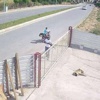 Köpeği pompalı tüfekle öldüren adam konuştu Köpeği pompalı tüfekle öldüren adam konuştu