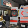 Domuz gribinden bir ölüm daha!