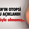 TZOB: Türkiye süt üretiminin dörtte birini 6 il yapıyor TZOB: Türkiye süt üretiminin dörtte birini 6 il yapıyor