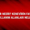 Türkiye Kenevir üretimi neden yasaklandı Kenevir nedir? Kenevirin faydaları nerede kullanılır Türkiye Kenevir üretimi neden yasaklandı Kenevir nedir? Kenevirin faydaları nerede kullanılır