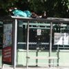 ‘Durak Tarzanı’ kışlık yerine döndü